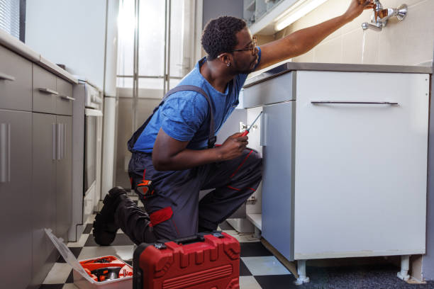 Best Local Plumber Services  in Elyria, OH